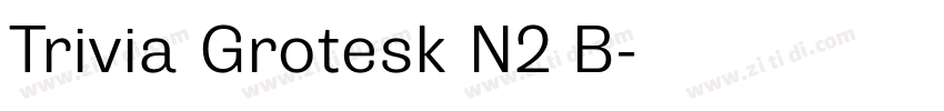 Trivia Grotesk N2 B字体转换 Trivia Grotesk N2 B字体转换